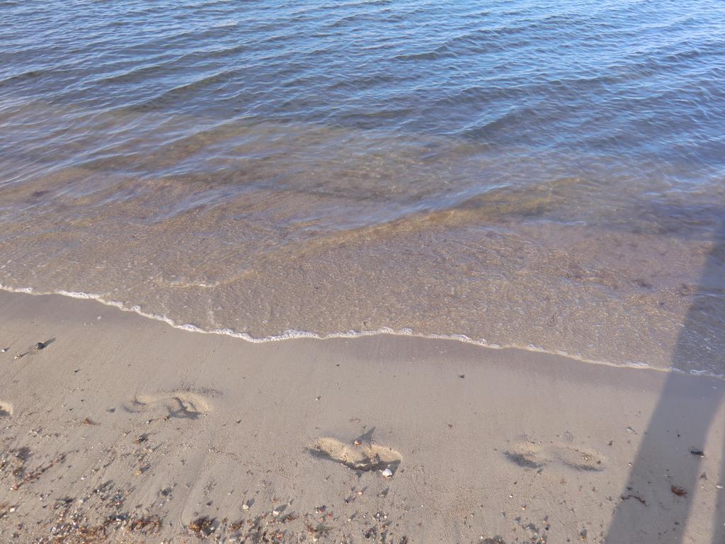 Böltser Hus Mit Strandkorb Und Kamin 10 Gehminuten Zum Kurtaxefreien Sandstrand Apartment Kraksdorf